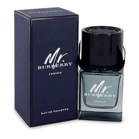 mr burberry indigo fragrantica|mr burberry indigo 50ml.